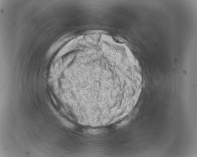 X0000082700341200702232236