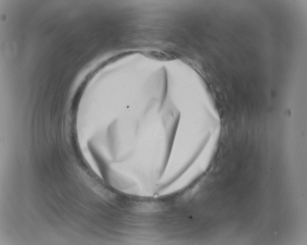 X0000082700342200702232236