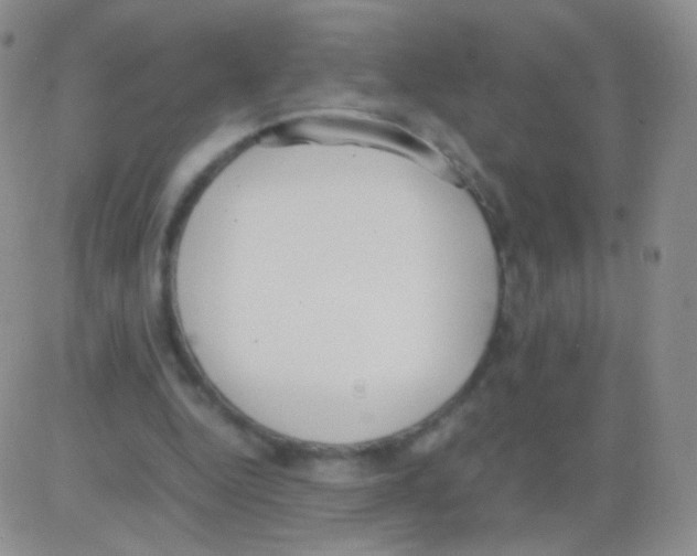 X0000082700344200702232236