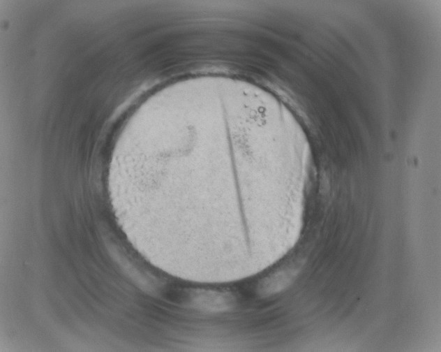 X0000082700347200702232236