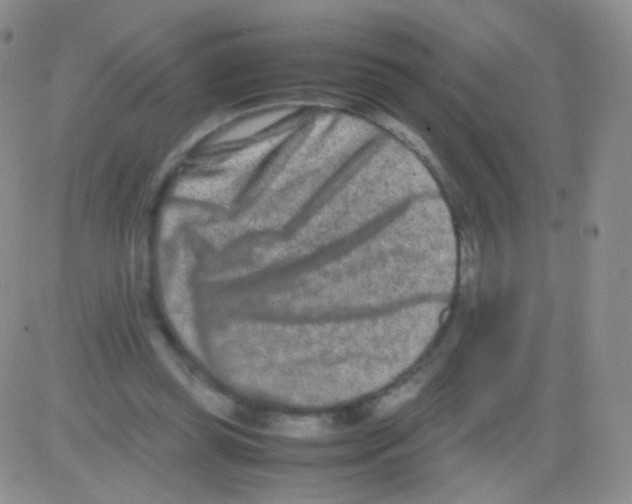 X0000082700349200702232236