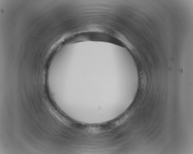 X0000082700350200702232236