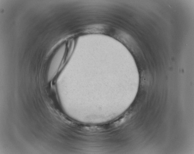 X0000082700351200702232236