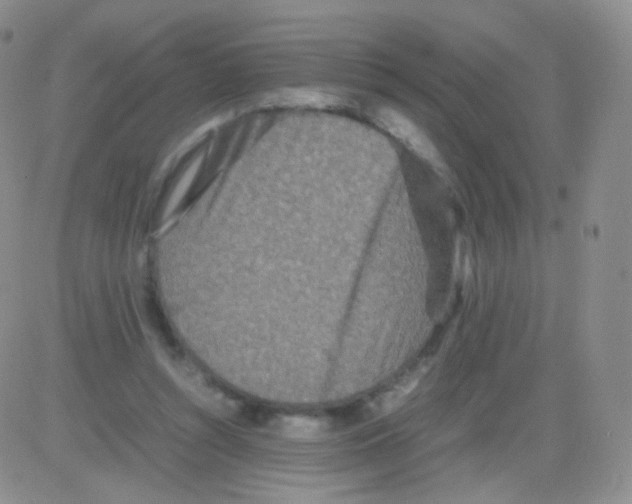 X0000082700352200702232236