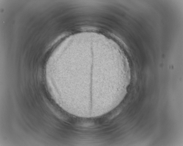 X0000082700353200702232236