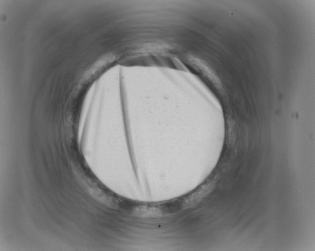 X0000082700354200702232236