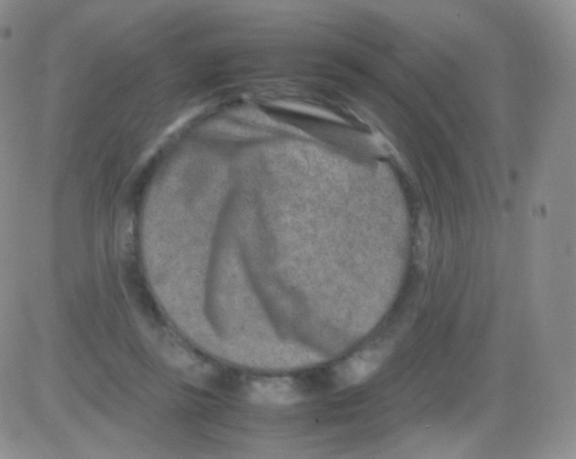 X0000082700355200702232236