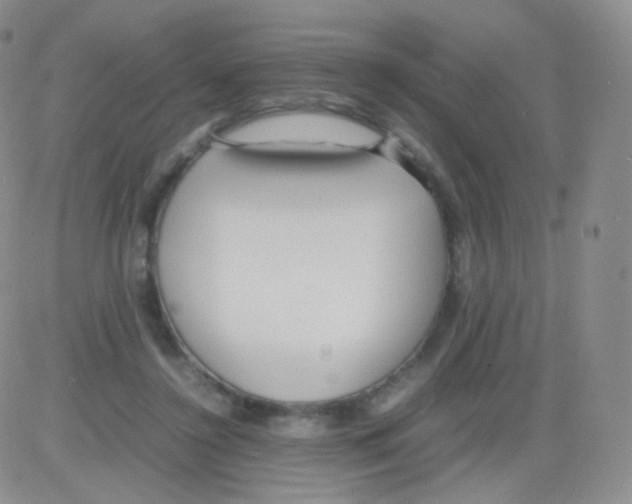 X0000082700356200702232236