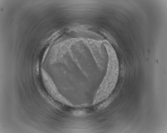 X0000082700358200702232236