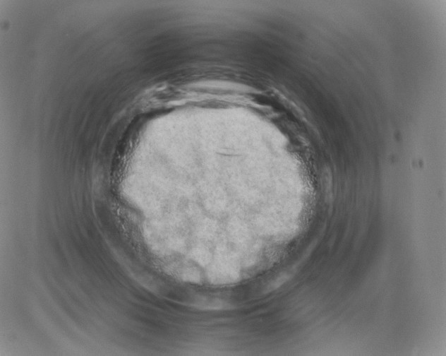 X0000082700359200702232236