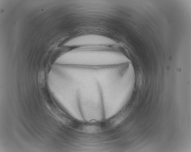 X0000082700360200702232236