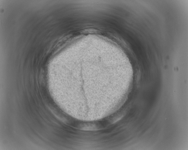 X0000082700361200702232236