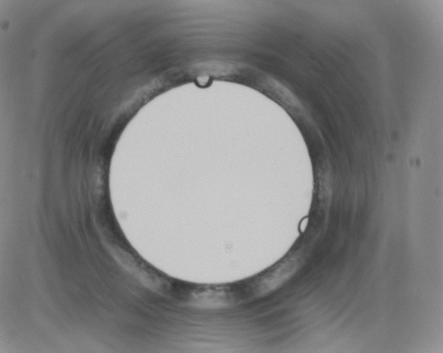 X0000082700362200702232236