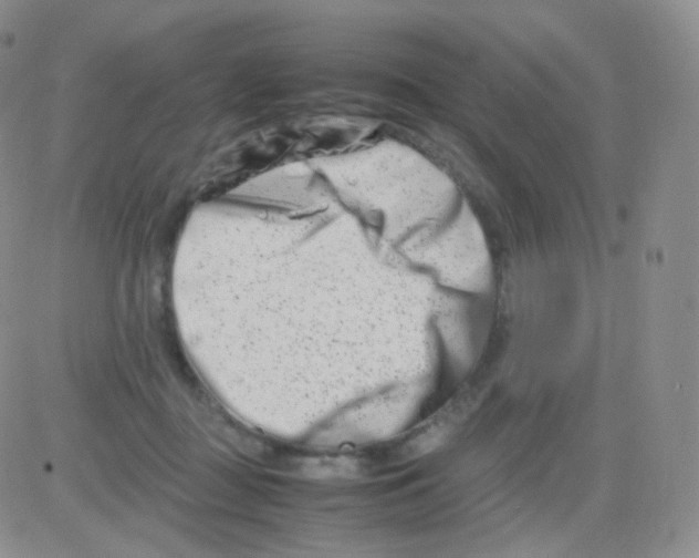 X0000082700363200702232236