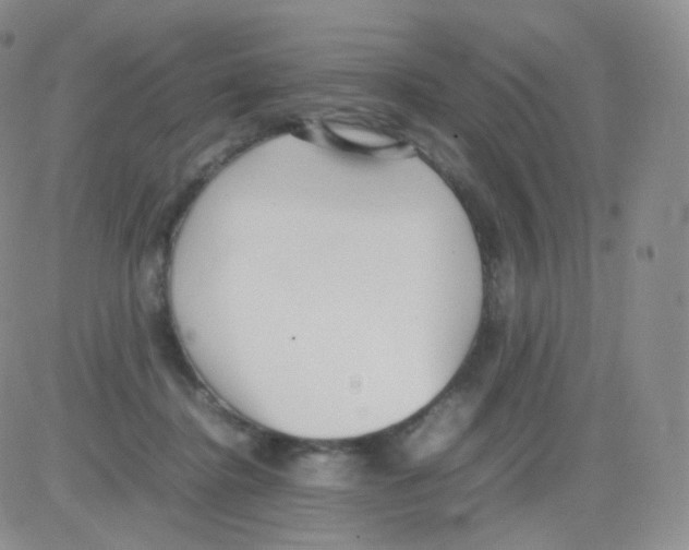 X0000082700364200702232236