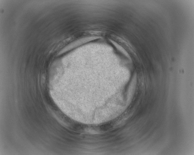 X0000082700365200702232236