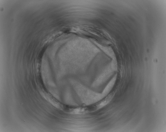 X0000082700366200702232236