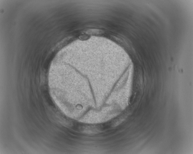 X0000082700367200702232236