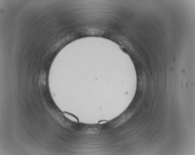 X0000082700368200702232236