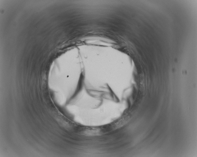 X0000082700369200702232236