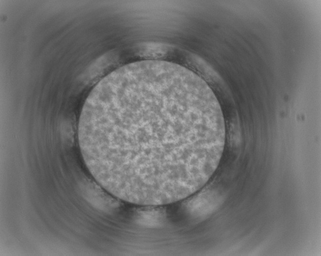 X0000082700370200702232236