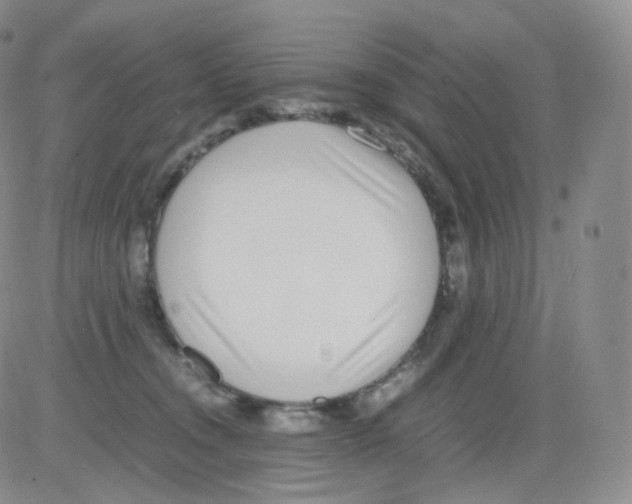 X0000082700372200702232236