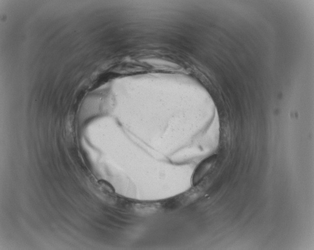 X0000082700373200702232236