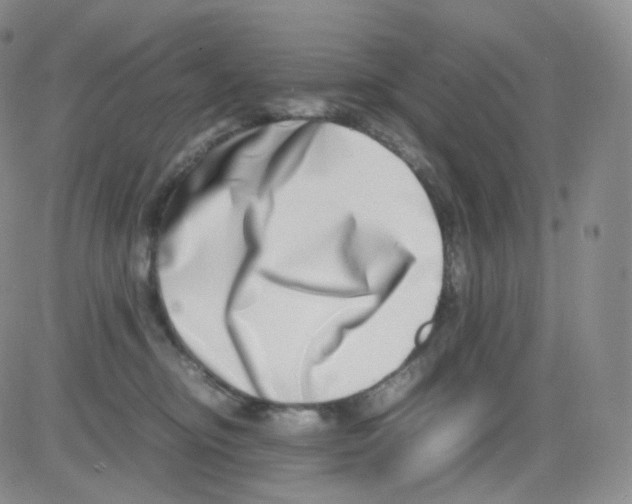 X0000082700374200702232236