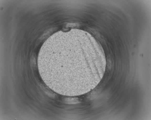 X0000082700375200702232236