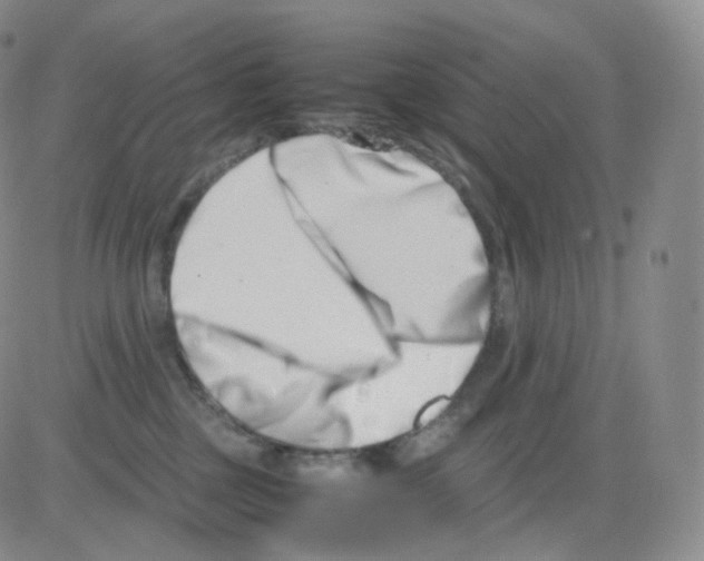 X0000082700377200702232236