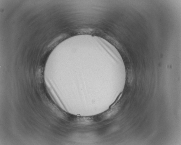 X0000082700378200702232236