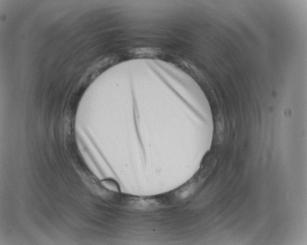 X0000082700379200702232236