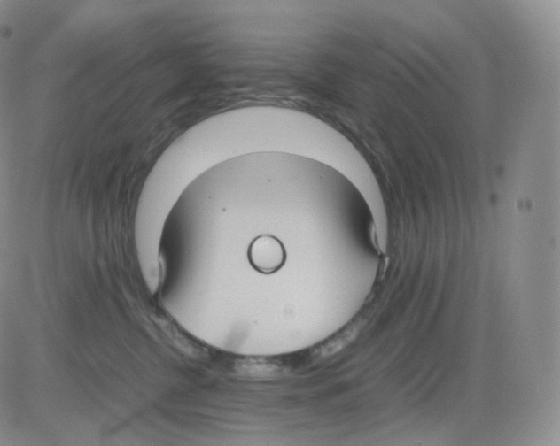 X0000082700380200702232236