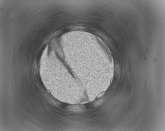 X0000082700381200702232236