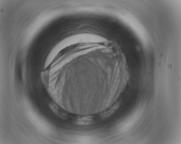 X0000082700382200702232236