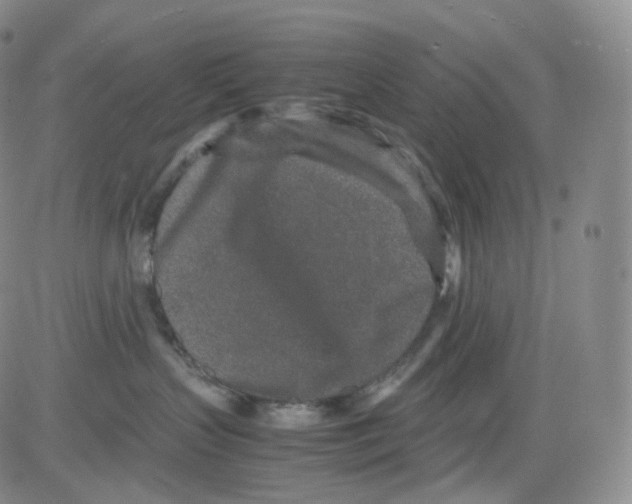 X0000082700383200702232236