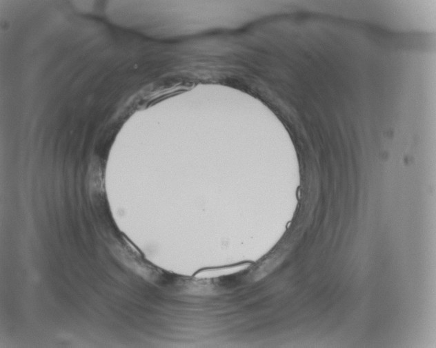 X0000082700384200702232236