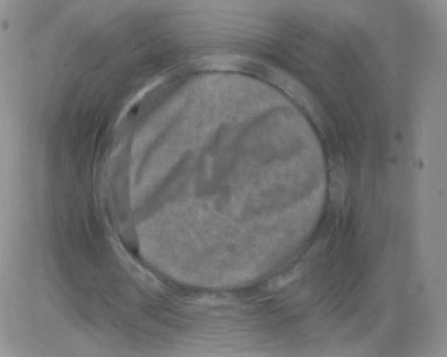 X0000082700386200702232236