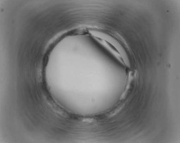 X0000082700388200702232236