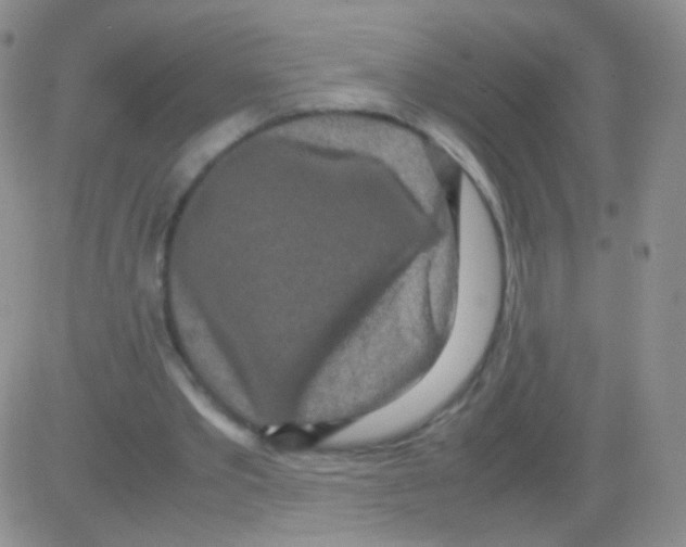 X0000082700389200702232236