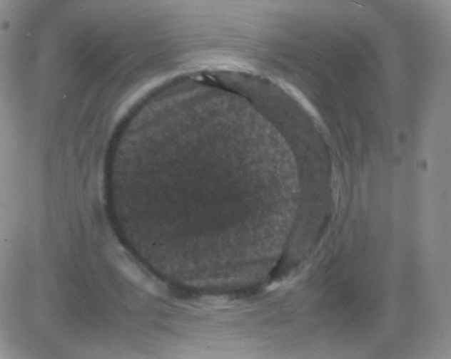 X0000082700391200702232236