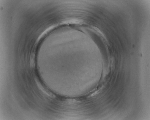 X0000082700392200702232236