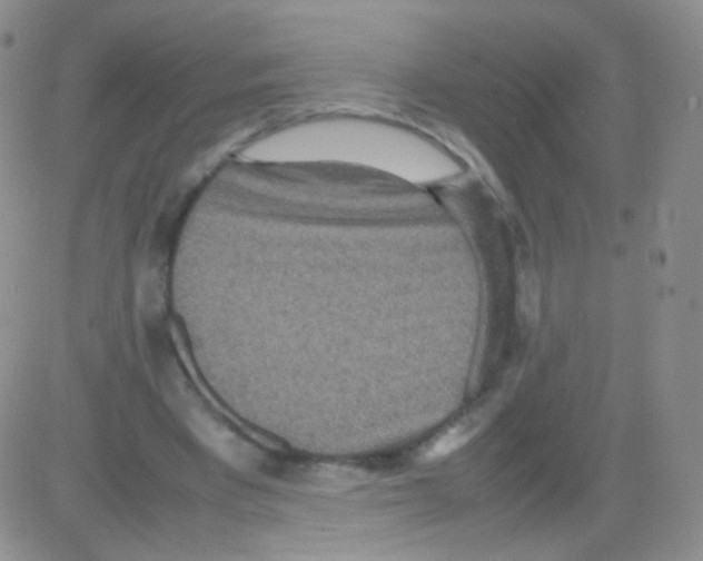 X0000082700393200702232236