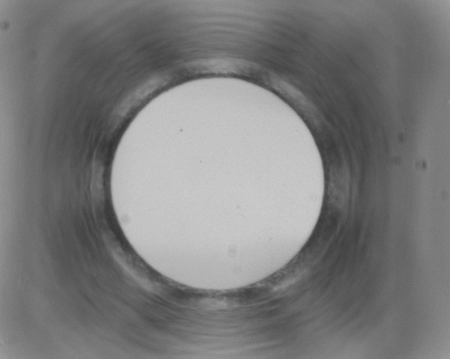 X0000082700394200702232236