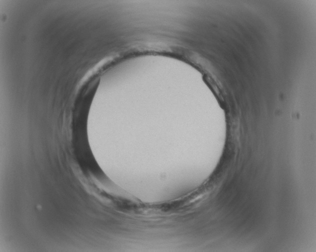 X0000082700395200702232235