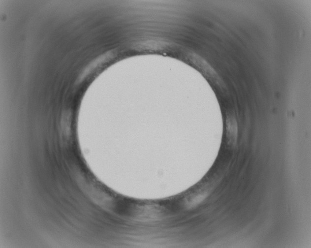 X0000082700396200702232235