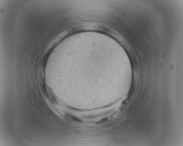 X0000082700397200702232235