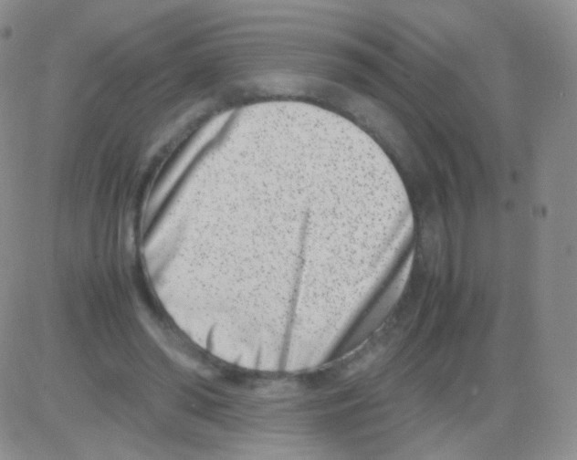 X0000082700398200702232235