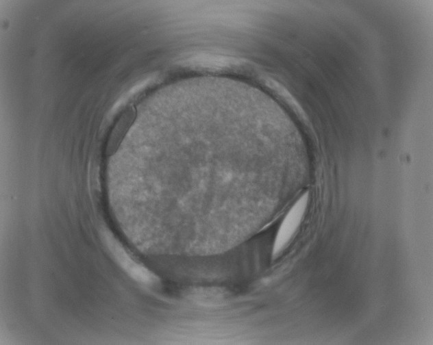 X0000082700399200702232235