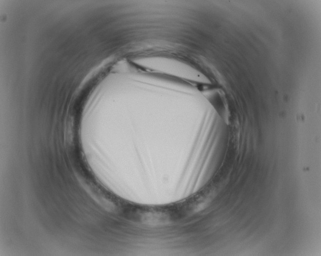 X0000082700400200702232235